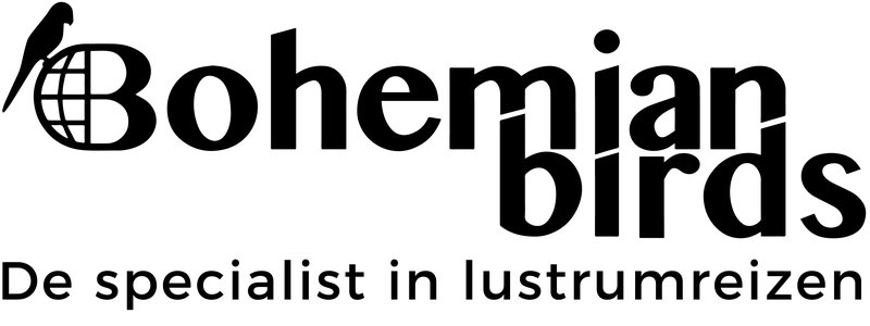 Bohemian Birds Banner